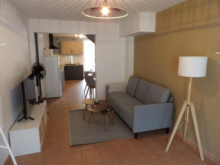 Villeneuve-de-Marsan Cosy House Au Coeur Des Landesヴィラ エクステリア 写真